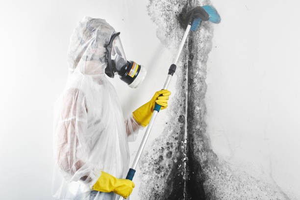 Best Crawl Space Mold Remediation  in Newberry, FL